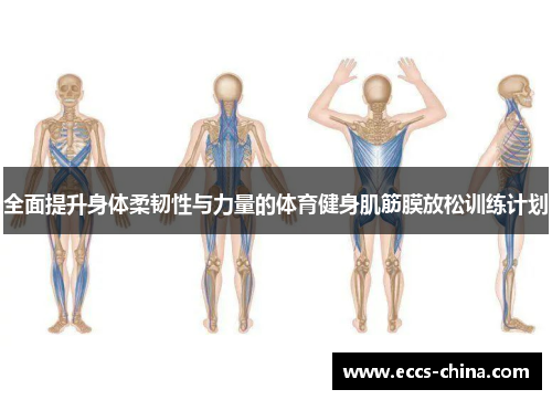 全面提升身体柔韧性与力量的体育健身肌筋膜放松训练计划