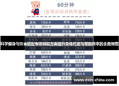 科学健身与饮食搭配专项减脂方案提升身体代谢与燃脂效率的全面指南