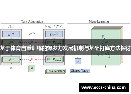 基于体育自重训练的爆发力发展机制与基础打底方法探讨