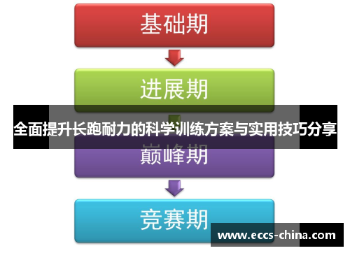 全面提升长跑耐力的科学训练方案与实用技巧分享
