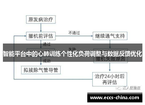 智能平台中的心肺训练个性化负荷调整与数据反馈优化
